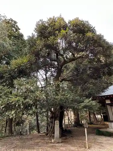 飯縄大権現(神奈川県)