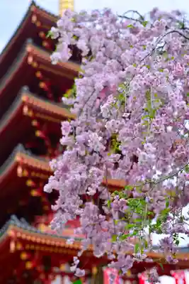 高幡不動尊　金剛寺(東京都)
