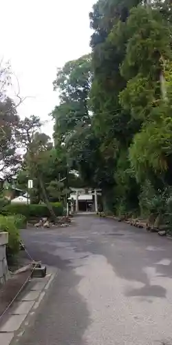 諸羽神社の鳥居