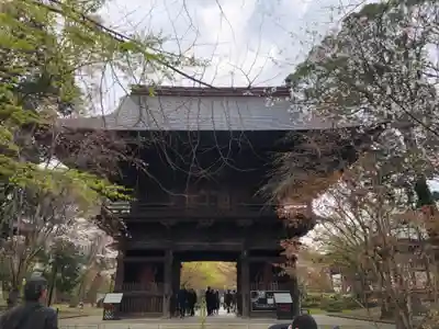 淨眞寺の山門・神門