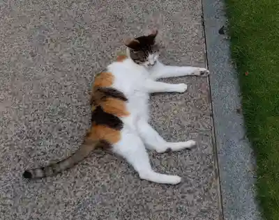 潮音寺(神奈川県)