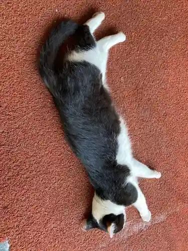 榛名神社(群馬県)