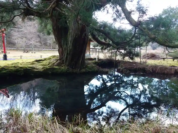 一本杉神社(島根県)