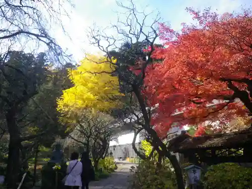 東慶寺の庭園