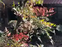 木舟山 順教寺(広島県)