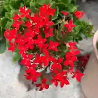 豊景神社の自然