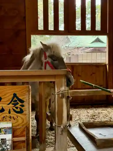 平塚八幡宮の{uncategorized: "未分類", other: "その他", undefined: "問題あり", building: "その他建物", grave: "お墓", sacred_gate: "鳥居", guardian: "狛犬", statue: "像", buddha: "仏像", history: "歴史", nature: "自然", garden: "庭園", animal: "動物", pagoda: "塔", temizu: "手水舎", mountain_gate: "山門・神門", sanctuary: "本殿・本堂", subordinate: "末社・摂社", art: "芸術", scenery: "景色", jizo: "地蔵", ema: "絵馬", goshuin: "御朱印", omikuji: "おみくじ", items: "授与品その他", amulet: "お守り", goshuincho: "御朱印帳", eats: "食事", festival: "お祭り", votive_dance: "神楽", shichigosan: "七五三参", wedding: "結婚式", experience: "体験その他", initially: "初詣", around: "周辺", anti_infection: "感染症対策"}