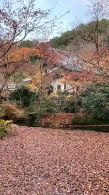 圓光寺(京都府)