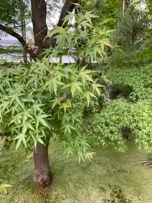 禅林寺(永観堂)(京都府)