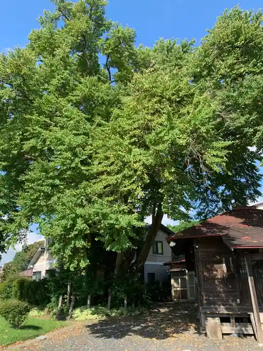 延寿寺観音堂(岩手県)