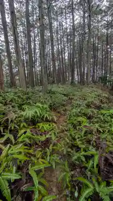 秋葉神社(京都府)
