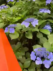 愛宕神社(東京都)