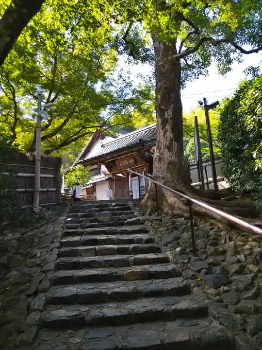 華厳寺(鈴虫寺)(京都府)