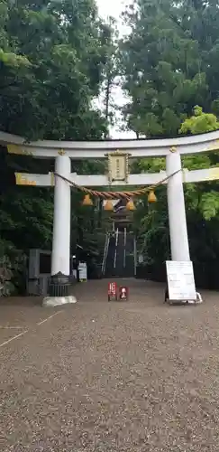 宝登山神社の鳥居