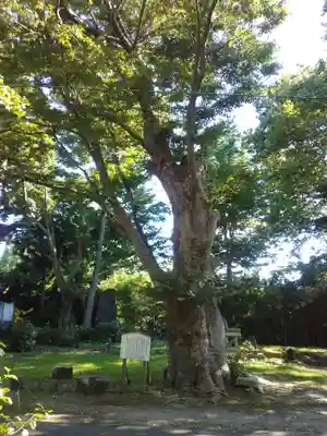 日吉神社(秋田県)