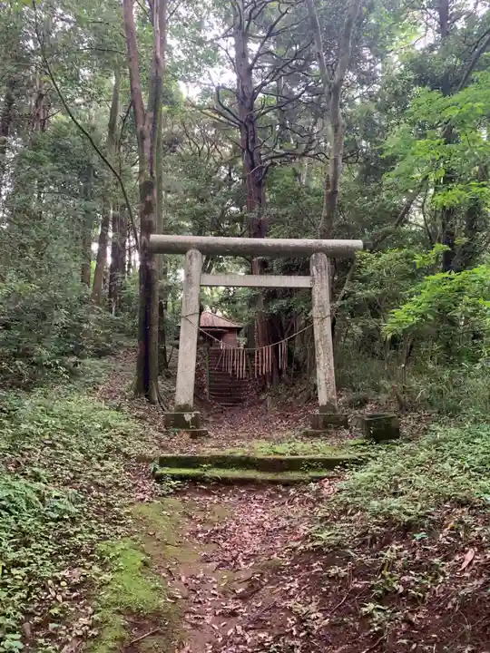 白幡神社の鳥居