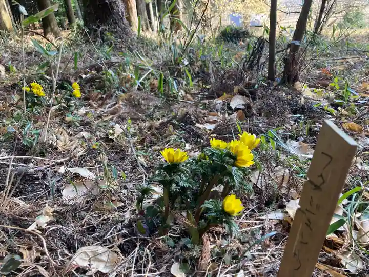 岩戸別神社(栃木県)