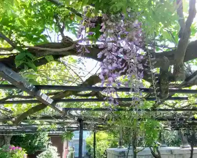 延命寺(愛知県)