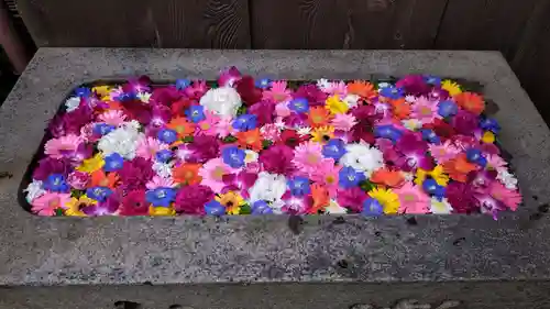 菅生神社(愛知県)