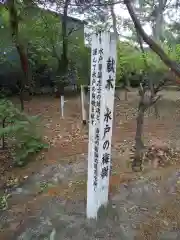 松原神社(福井県)