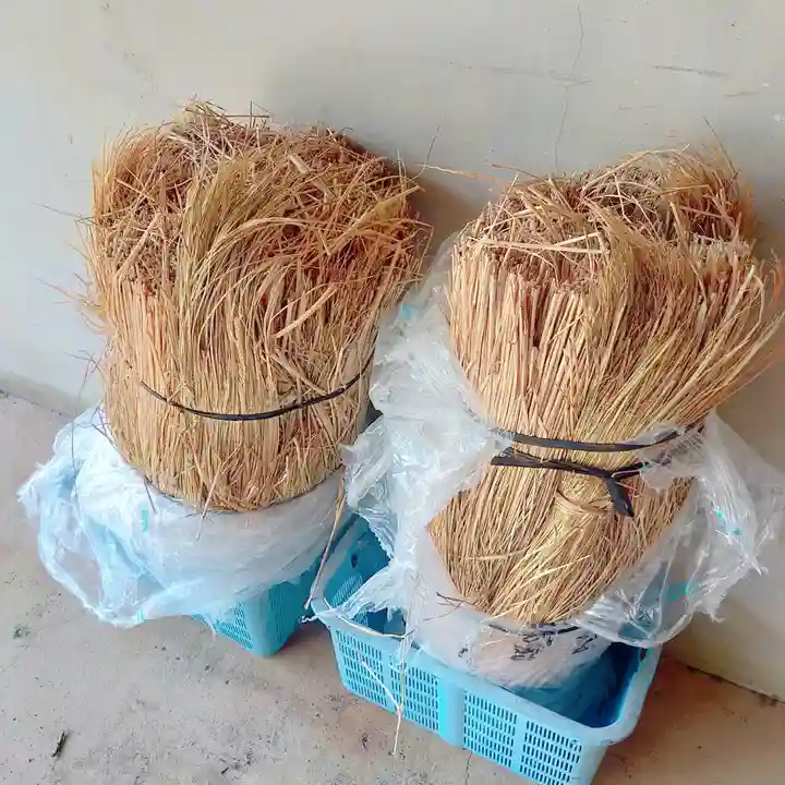 屋久島大社(鹿児島県)