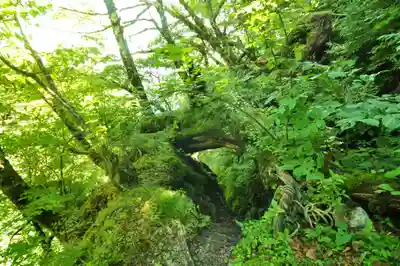 劔神社(徳島県)