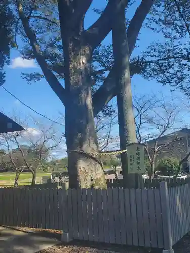 高椅神社の自然