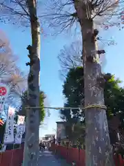 川越八幡宮(埼玉県)