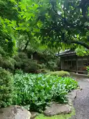 岩松院(長野県)