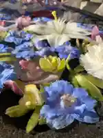 差出磯大嶽山神社 仕事と健康と厄よけの神さまの手水舎