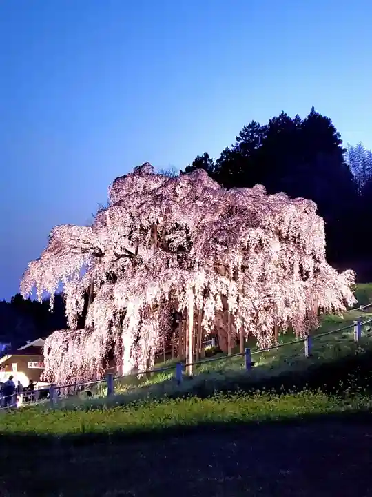 瀧桜神明宮(福島県)