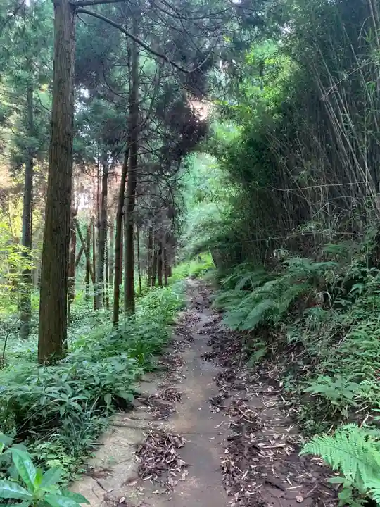 大宮神社(千葉県)