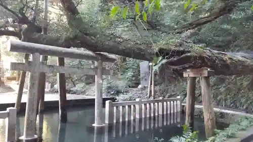 鹿島神宮の庭園