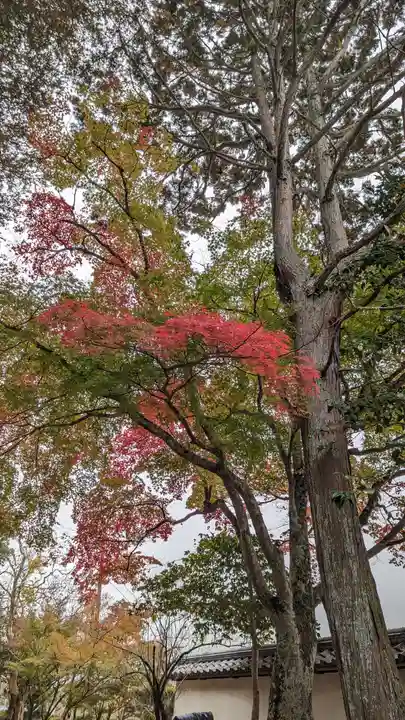 矢田天満宮の自然
