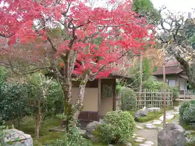 実光院(京都府)