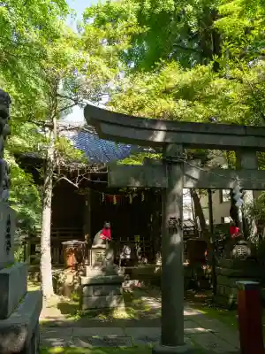 四合稲荷神社の{uncategorized: "未分類", other: "その他", undefined: "問題あり", building: "その他建物", grave: "お墓", sacred_gate: "鳥居", guardian: "狛犬", statue: "像", buddha: "仏像", history: "歴史", nature: "自然", garden: "庭園", animal: "動物", pagoda: "塔", temizu: "手水舎", mountain_gate: "山門・神門", sanctuary: "本殿・本堂", subordinate: "末社・摂社", art: "芸術", scenery: "景色", jizo: "地蔵", ema: "絵馬", goshuin: "御朱印", omikuji: "おみくじ", items: "授与品その他", amulet: "お守り", goshuincho: "御朱印帳", eats: "食事", festival: "お祭り", votive_dance: "神楽", shichigosan: "七五三参", wedding: "結婚式", experience: "体験その他", initially: "初詣", around: "周辺", anti_infection: "感染症対策"}