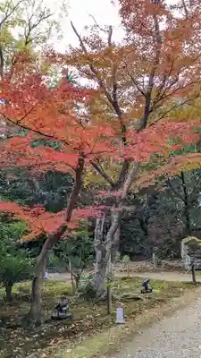 浄住寺(京都府)