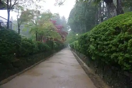 高野山金剛峯寺の周辺