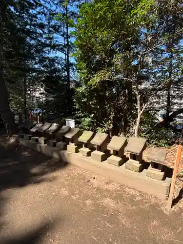 開運招福 飯玉神社(群馬県)
