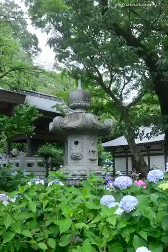 妙楽寺(神奈川県)