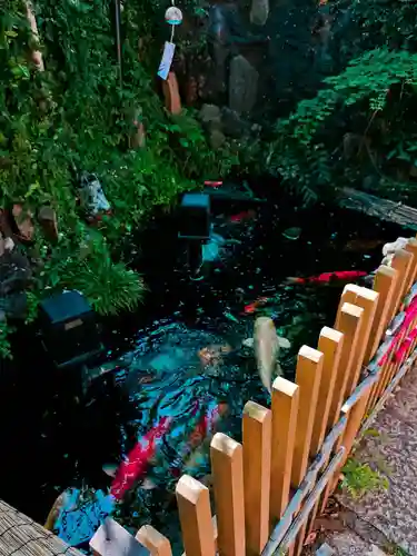 吉原弁財天本宮（吉原神社奥宮）(東京都)