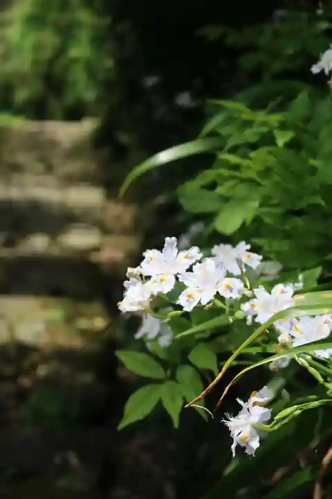 桑実寺(滋賀県)