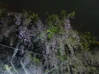 竹鼻別院(岐阜県)