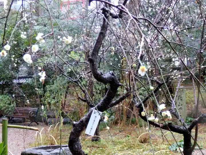 靖國神社の庭園