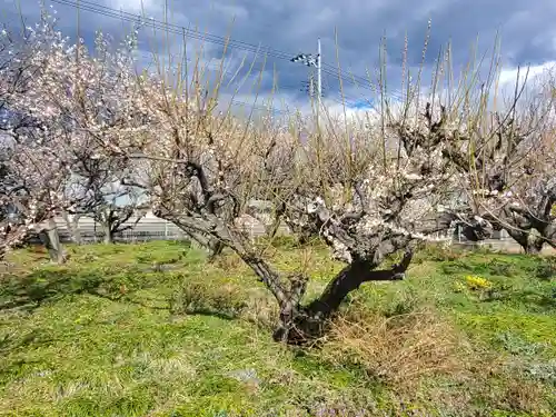 梅野森天満宮(栃木県)