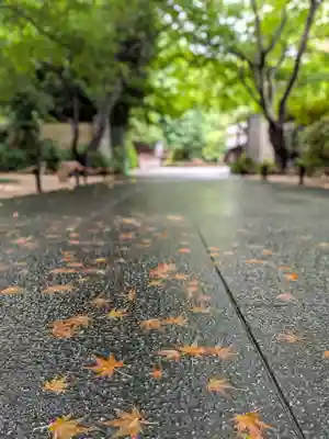 高円寺(東京都)