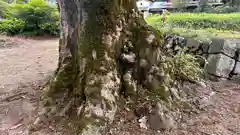 日足神社(兵庫県)