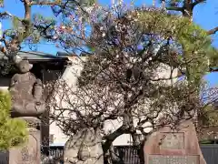 晴雲寺の自然