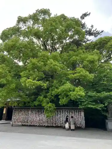 寒川神社の自然
