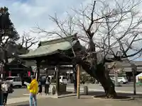 喜多院(埼玉県)